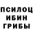 Галлюциногенные грибы мухоморы september 035