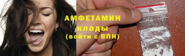 ПСИЛОЦИБИНОВЫЕ ГРИБЫ Тайга