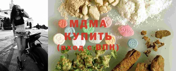 ПСИЛОЦИБИНОВЫЕ ГРИБЫ Тайга