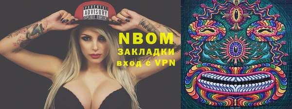 ПСИЛОЦИБИНОВЫЕ ГРИБЫ Тайга