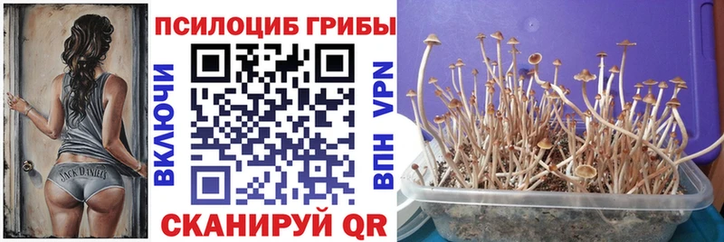 маркетплейс какой сайт  Верея  Галлюциногенные грибы Magic Shrooms 